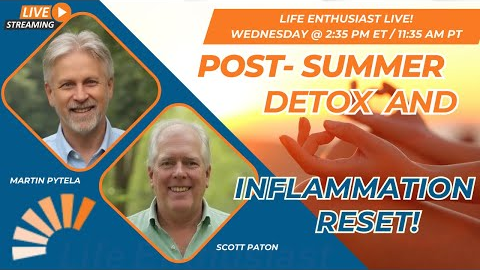 Post-Summer Detox & Inflammation Reset
