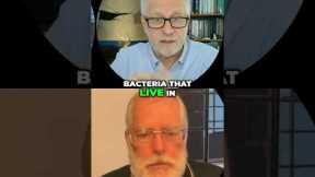 MRSA vs Strep: The Truth #shorts