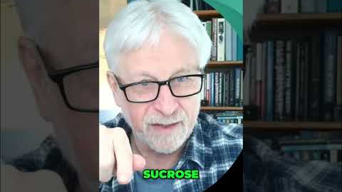 High-Fructose Corn Syrup & Liver Health #shorts