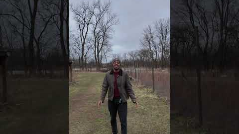 This is how you invest in tax liens. #realestate #investing