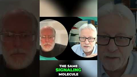 Foods That Spark Arousal: The Histamine Connection! #shorts