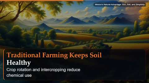 Mexico's Natural Advantage: Sun, Soil, and Simplicity