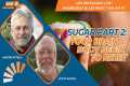 Sugar Part 2: Your Brain & Body