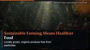 Living Closer to Nature: Mexico's Blueprint for Natural Health