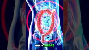 Hack Your Gut: Prebiotics Stabilize Blood Sugar & Reduce Inflammation! #shorts