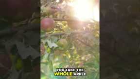 Apple Fiber: Detox Your Body, Boost Your Health! #shorts