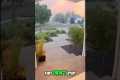 Devastating Wildfire Fueled by 40 MPH 