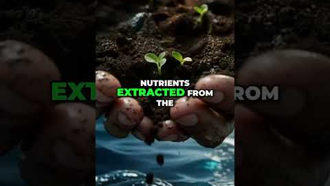 Ocean & Soil Nutrients in One Spray #shorts