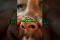 Keep Your Sinuses Healthy To Prevent