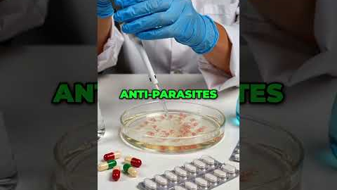 Could Cancer Be Linked to Fungus or Parasites? #shorts
