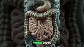 Period Cramps or Gut Trouble? Know the Difference #shorts