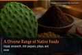 From Cactus to Cocoa: Mexico's Native 